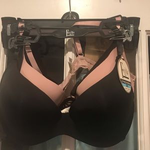 Felina bras